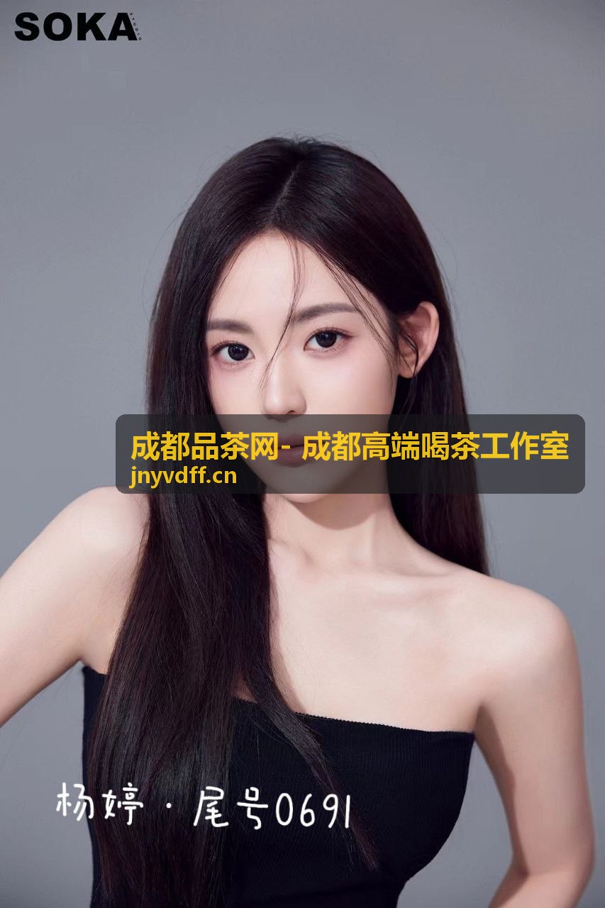 成都高端喝茶工作室 宋代点茶体验